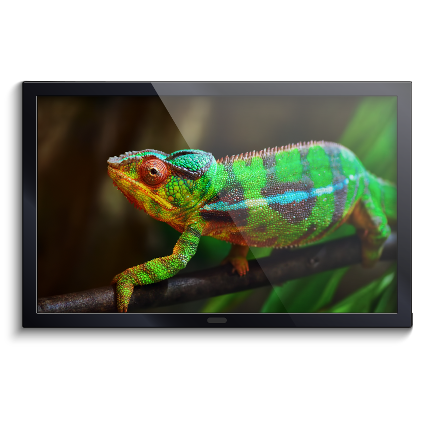 24″ 4K LED USB Screen (Black Bezel)